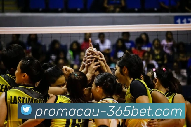 365betAPP 体育赛事宣传图